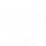 White Google+ Icon